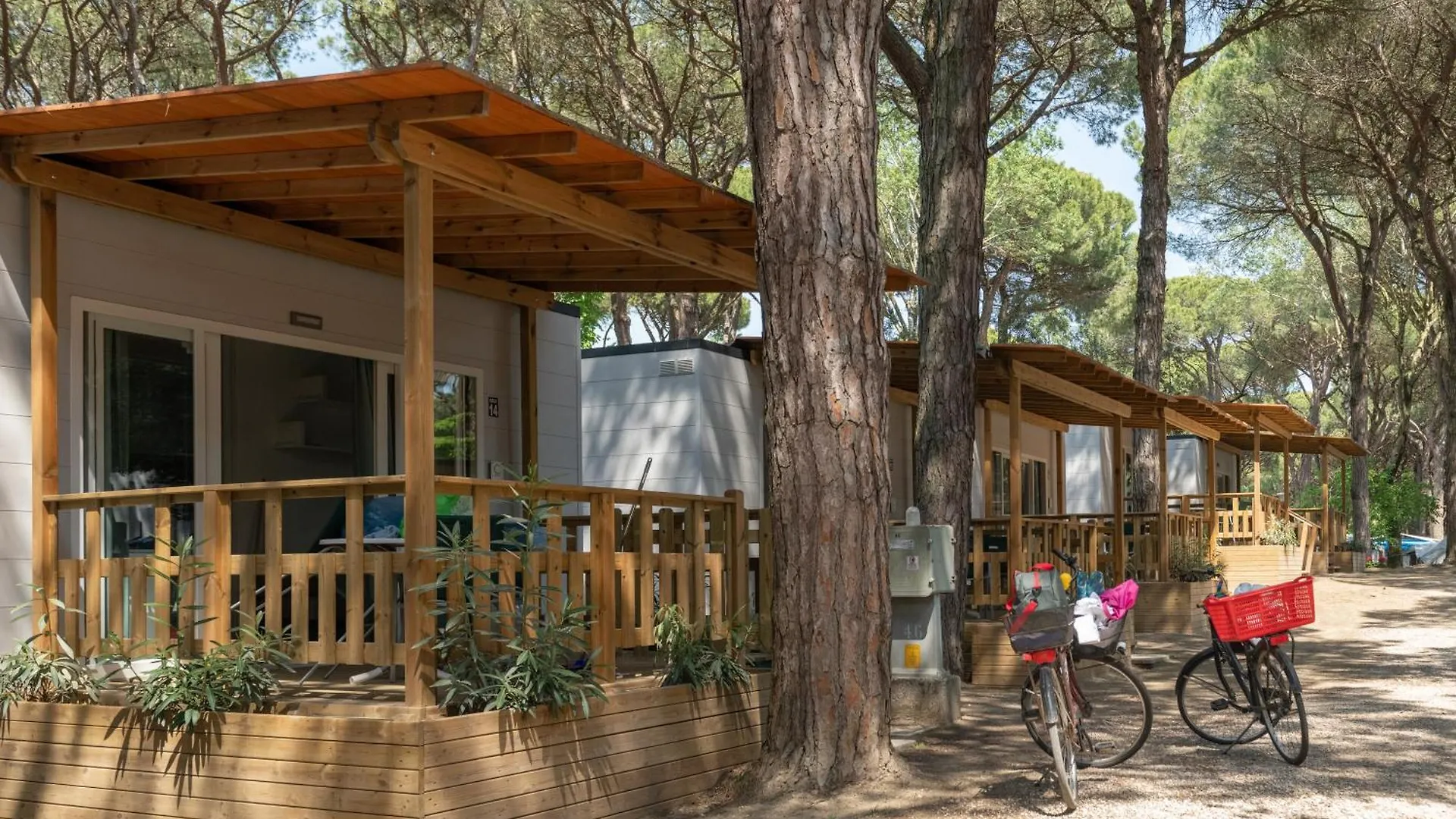 Camping Mare E Pineta 리도 디 스피나